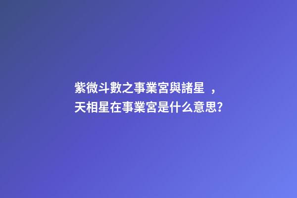 紫微斗數之事業宮與諸星，天相星在事業宮是什么意思？